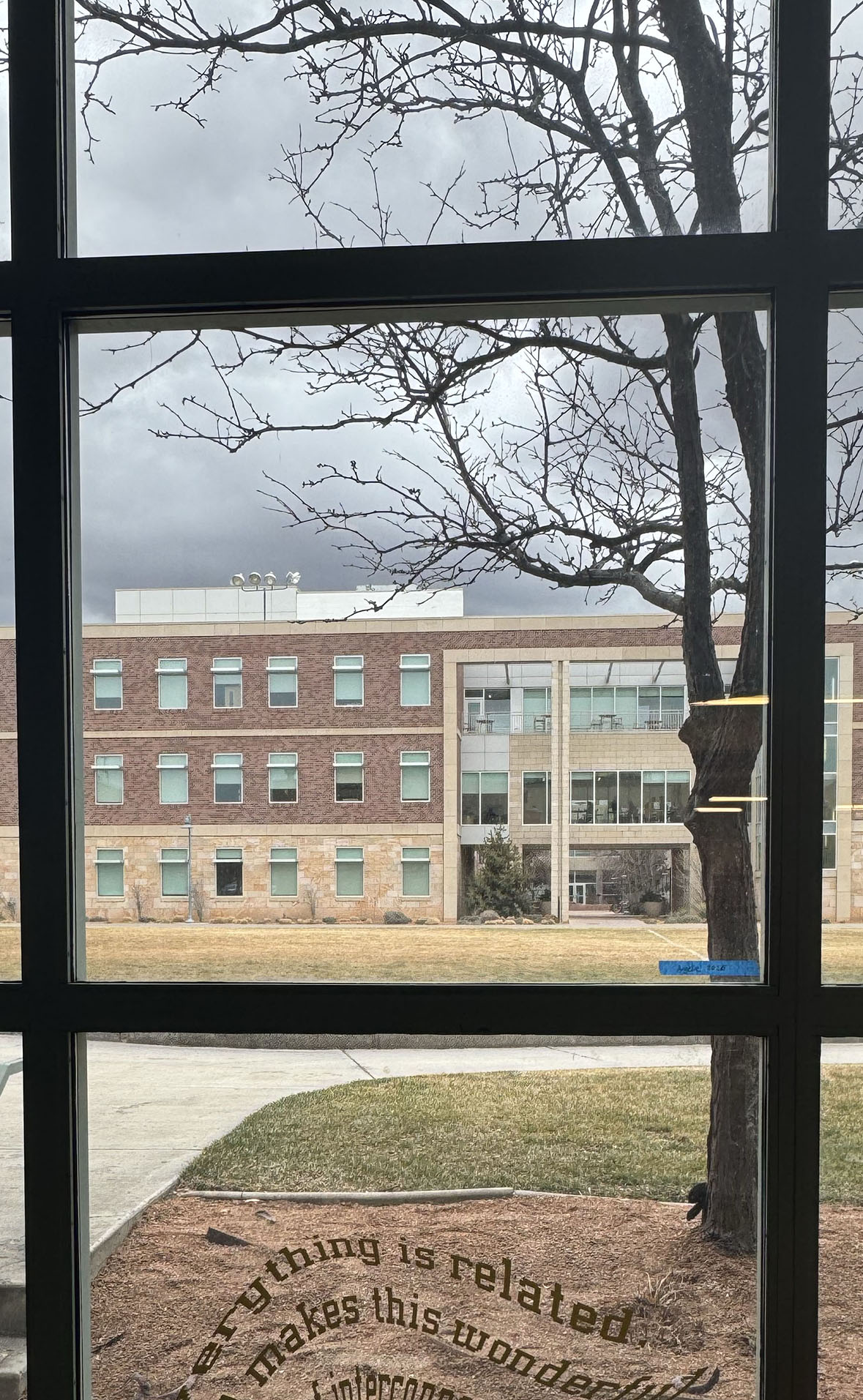 blank window